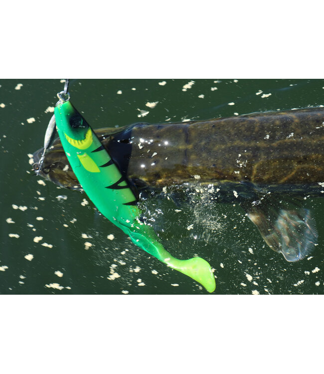 Spro Wob Shad 2.0 Re-Injected 15cm Blue Pearl