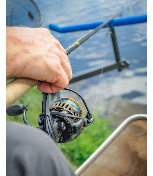 Garbolino Molen Feeder Gold 559 FD - 5000 Match & Feeder BB 8+1 - 1 Spule Extra