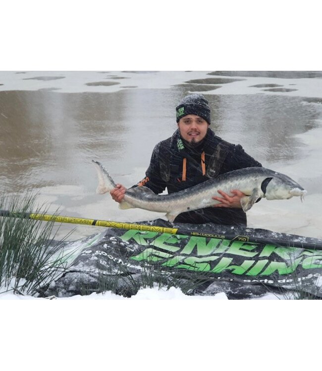 Reniers Fishing Extreme Carp 7m + Pulla Kit Gratuit