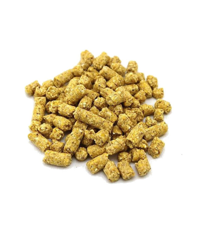 Reniers Fishing Babycorn 1 kilo
