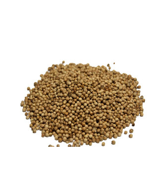 Reniers Fishing Coriandre Fraîche 500g – Épice Aromatique pour Mélanges d’Amorce et Poisson Blanc