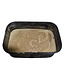Reniers Fishing Gold Range Paste 1kg – Pâte Maison Fraîche Préparée Chaque Semaine pour Hookpaste, Method et Étangs Plus Profonds avec 4 Types de Pellets dont des Koi Pellets