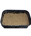 Reniers Fishing Gold Range Paste 1kg – Pâte Maison Fraîche Préparée Chaque Semaine pour Hookpaste, Method et Étangs Plus Profonds avec 4 Types de Pellets dont des Koi Pellets