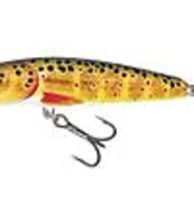 Salmo Floating Minnow 7cm - 6gr (diepte 1-1.5m)