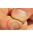Korda Krank Micro Barbed (10 pcs)