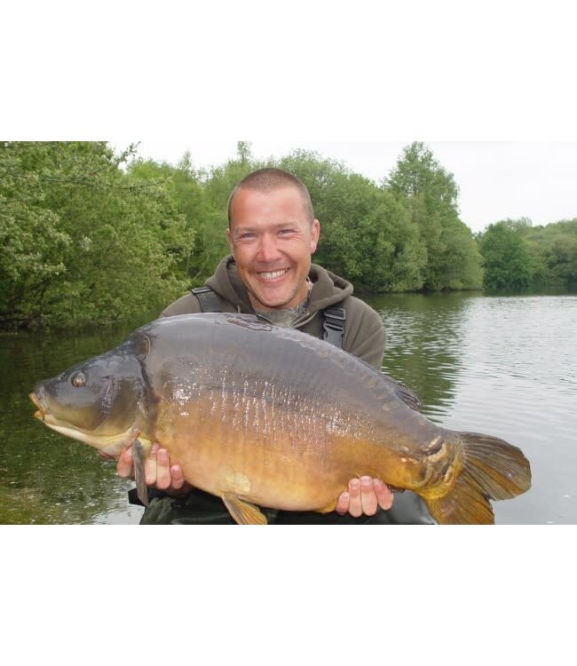 Korda Rig Rings (20 pcs)