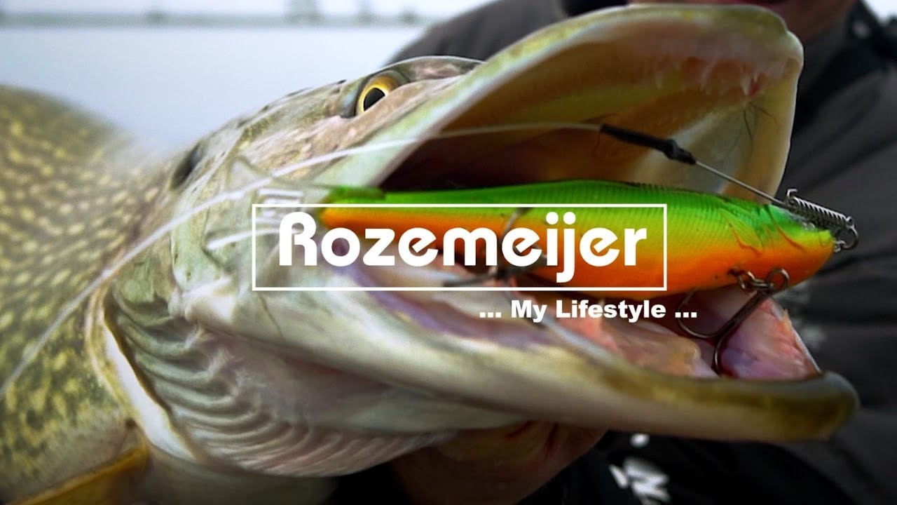 Rozemeijer