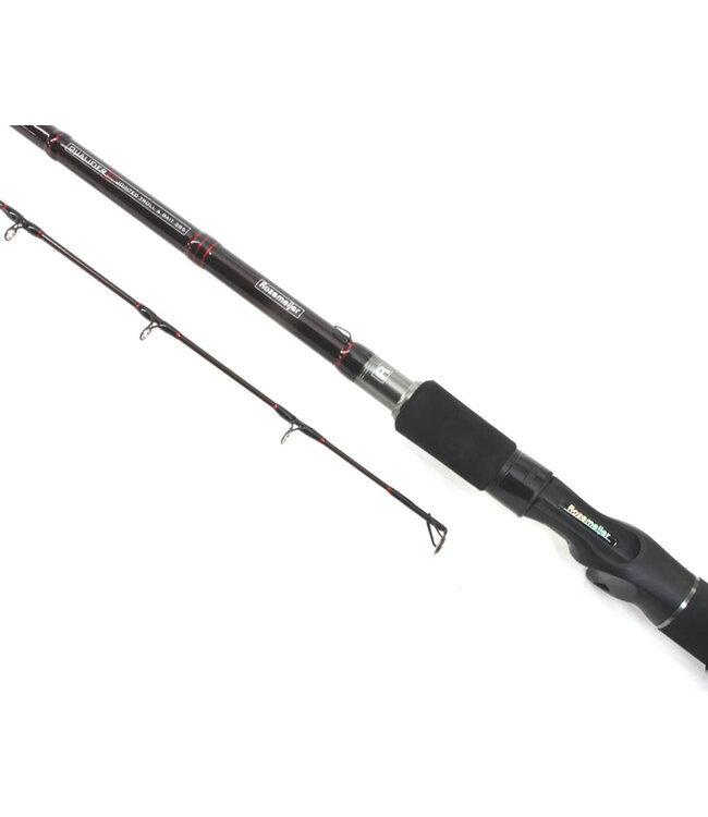 Rozemeijer Qualifier V2 Jointed Troll & Bait 2,85m - 60-130g