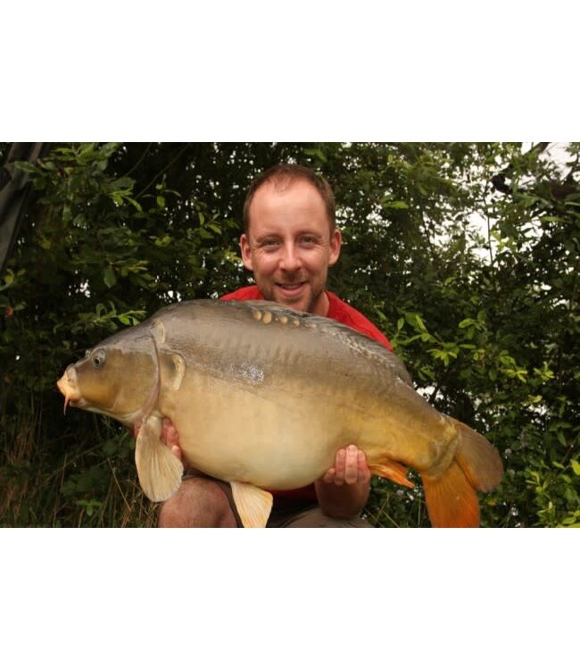 Korda Solidz PVA Bag System