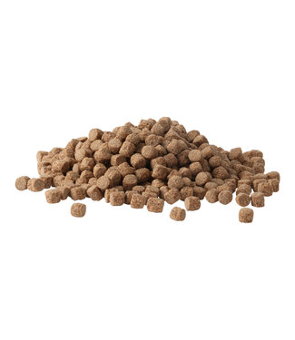 Reniers Fishing Competition Line RS Expander Natural 6mm