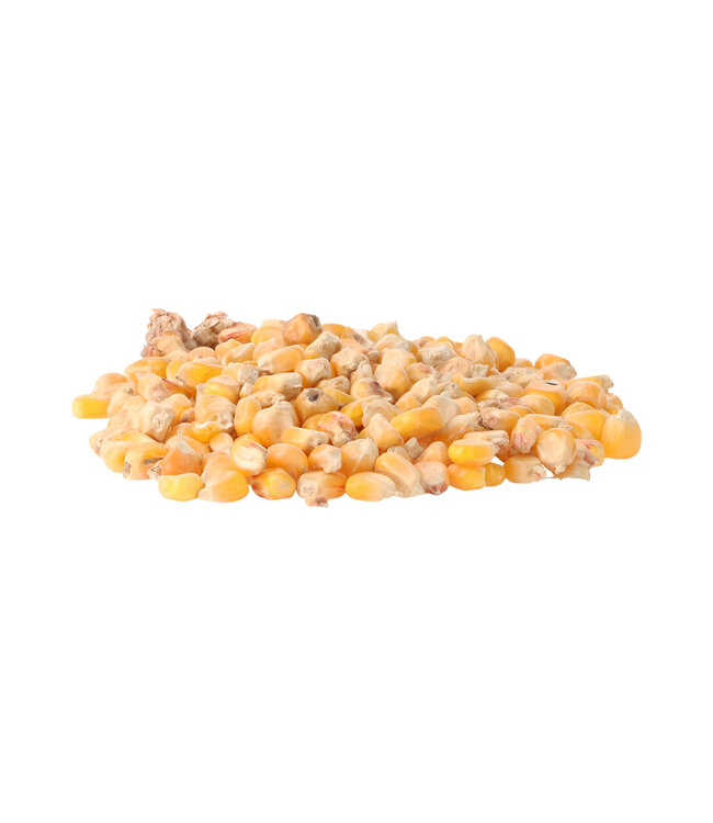 Reniers Fishing Maïs Jaune Sucré – Particule pour Carpe et Poissons Blancs – 3 kg