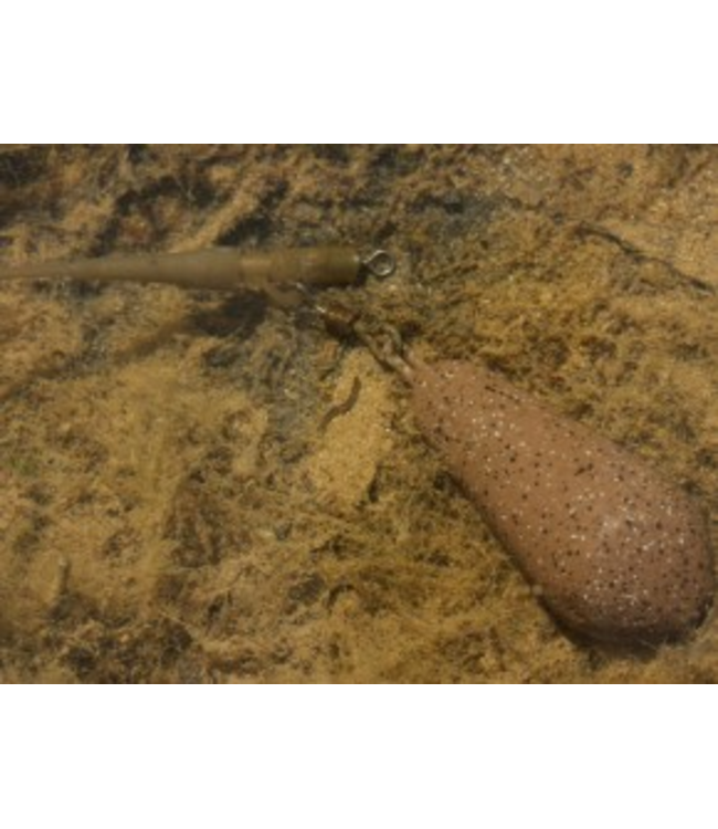 Korda Distance Casting