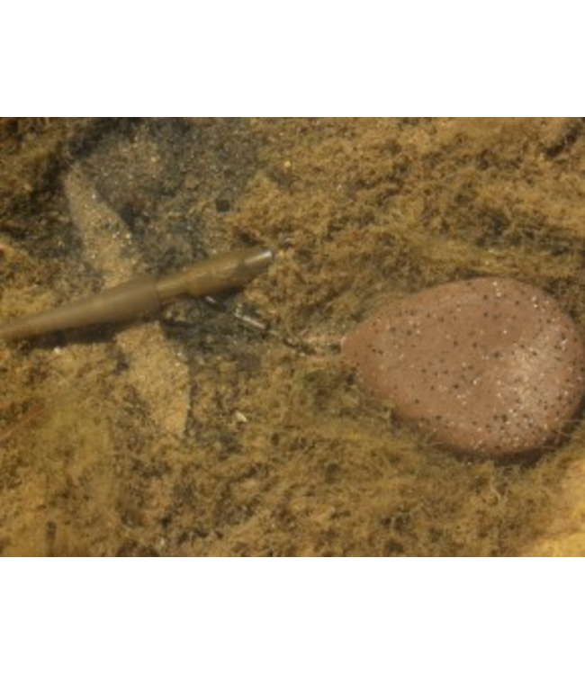 Korda Flat Pear Swivel