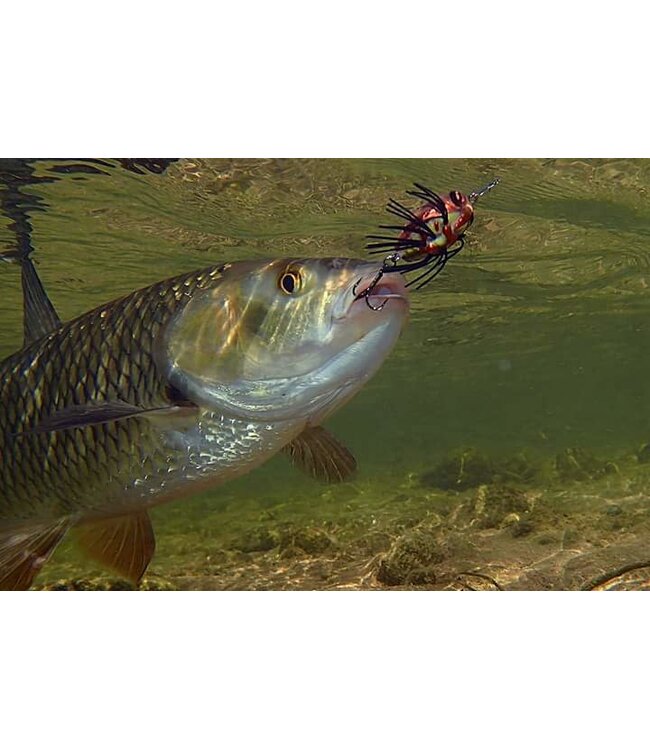 Sakura Notobug 22mm - 1.4g