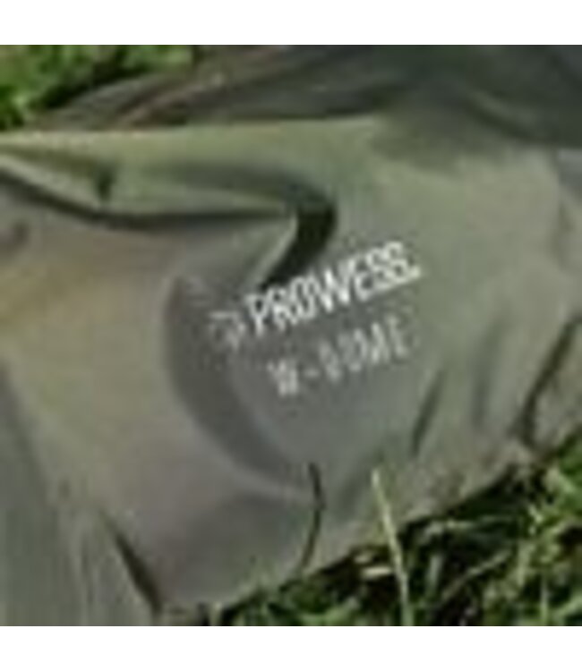 Prowess Biwy W - Dome 2 Places