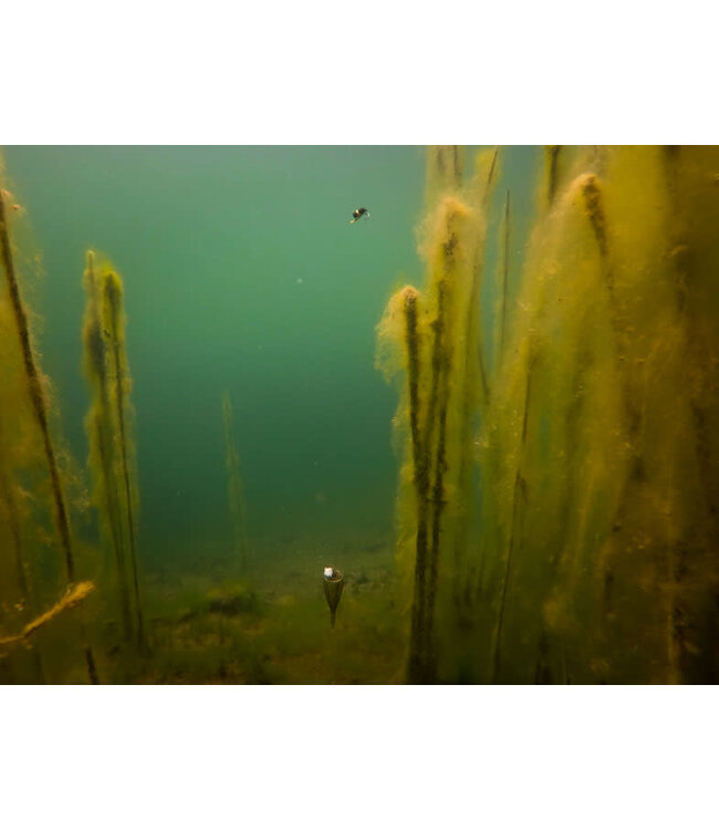 Fox Edges Zig Float Kit