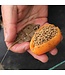 Drennan Set In-Line Flat Method Feeder+ Köderform