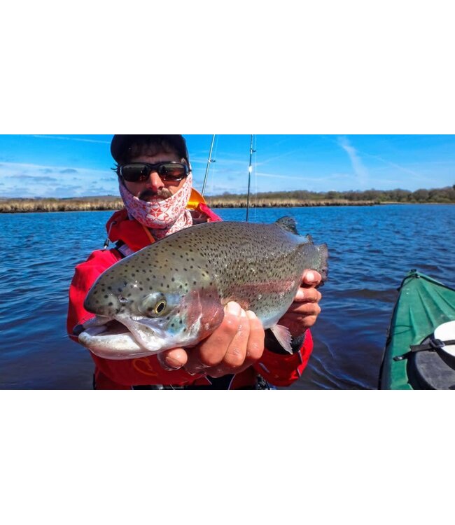 Sakura Trout Single Assist Hook - Black Nickel