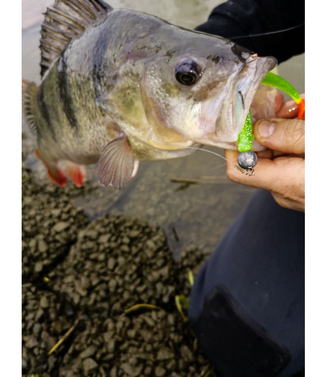 Quantum Q-Paddler 10cm - 7gr