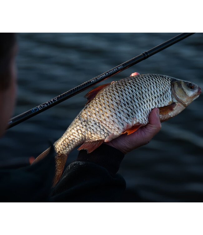 Cresta Identity Pro Superior Feeder (2 sections + 3 tips)