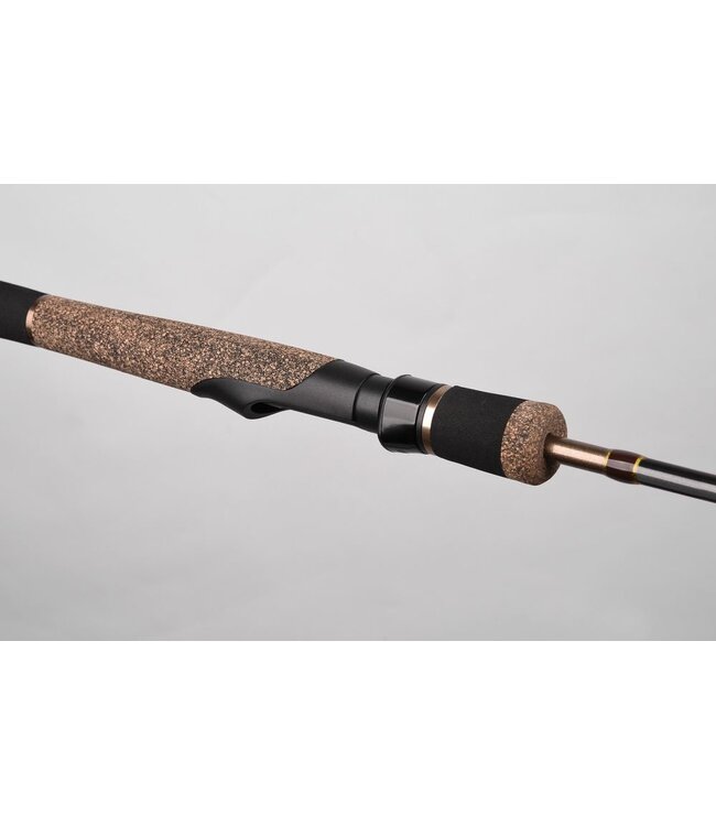 Spro Stream Precision - 2 delen Medium - 2.55m - 3-18gr