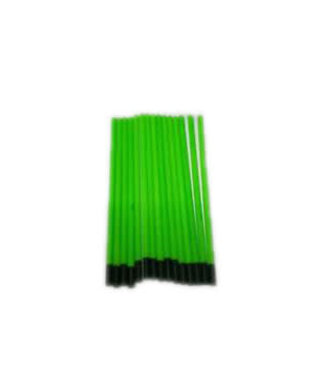 Reniers Fishing Antennes Creuses Vert (10 pcs)