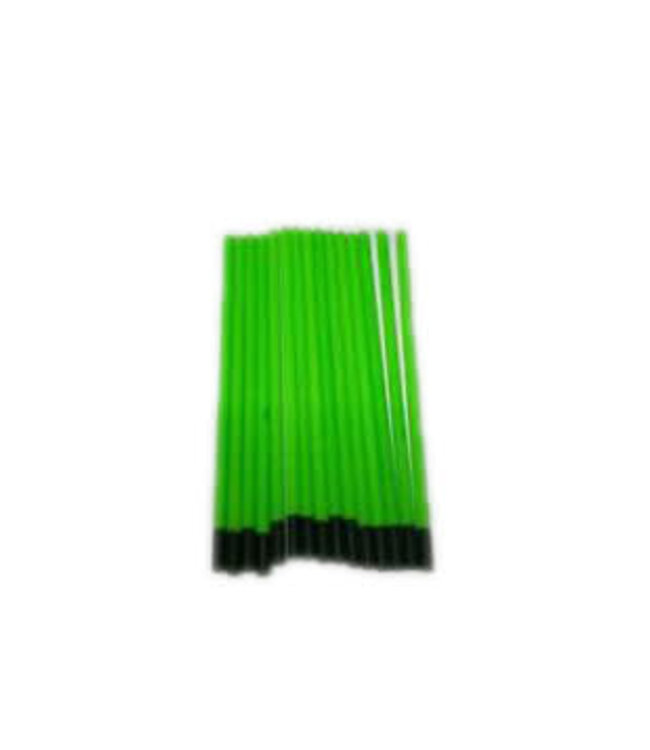 Reniers Fishing Antennes Creuses Vert (10 pcs)