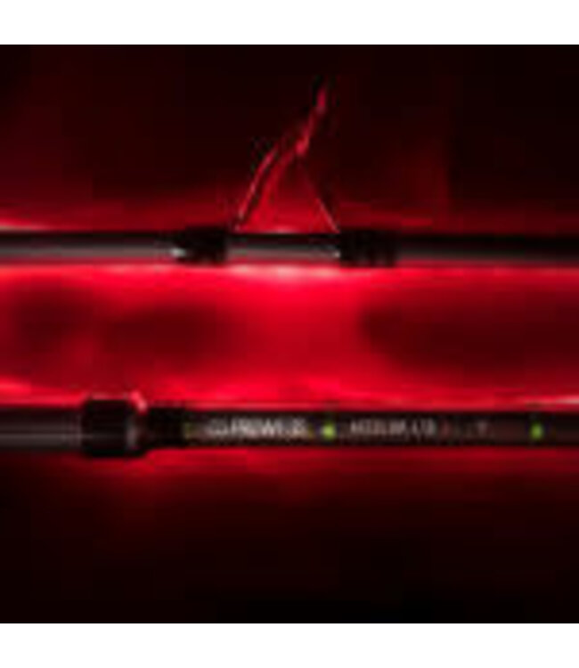 Prowess Absolum LTD X (2 Teile)