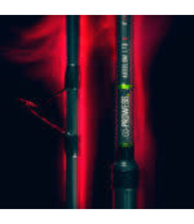 Prowess Absolum LTD X (2 brins)