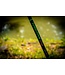 Maver Feeder Superlithium Carp 4 tips - 2 sections 10ft - 20-60gr