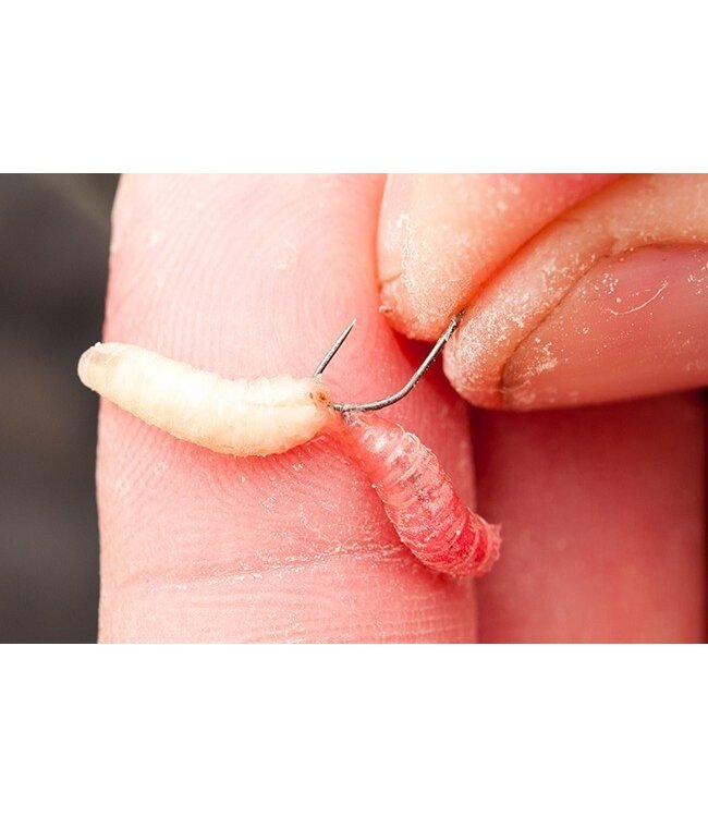 Guru F1 Maggot Barbless Spade End (10 pcs)