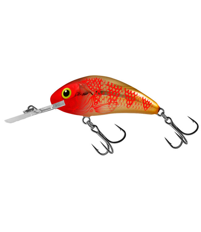 Salmo Rattlin Hornet Flottant (profondeur 2.5-5m) 6.5cm - 20g