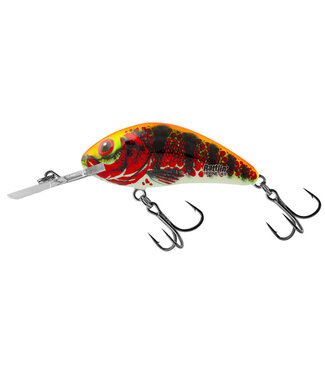 Salmo Floating Rattling Hornet 6.5cm 20gr Holo Red Perch
