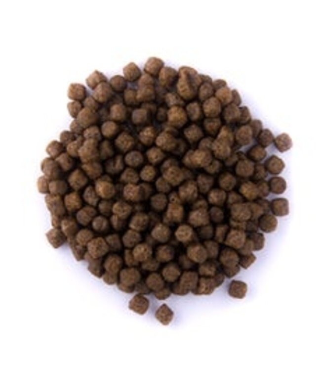 Reniers Fishing Gold Range Expander 500g