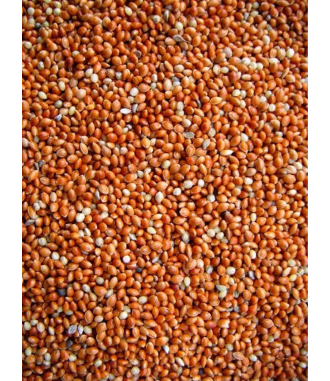 Reniers Fishing Milletzaad Rood 1 Kilo