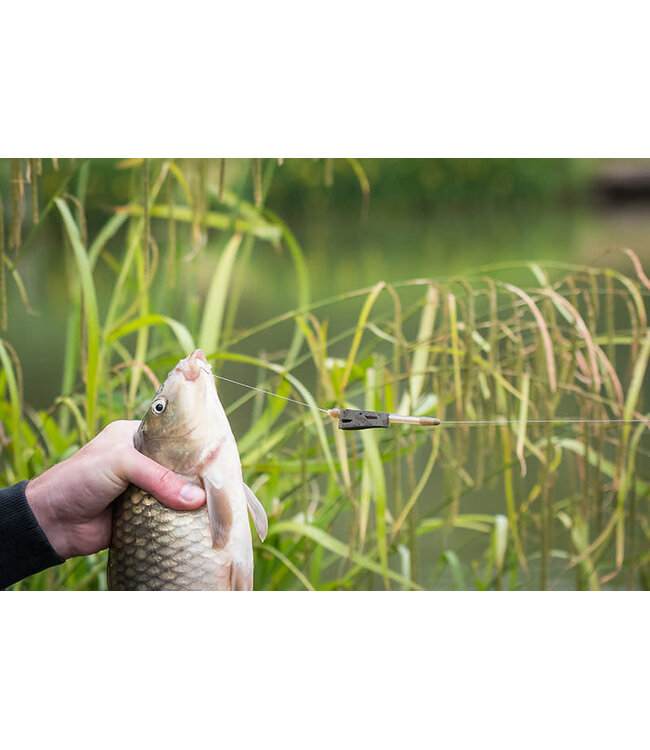 Matrix Alloy Open Feeder Inter