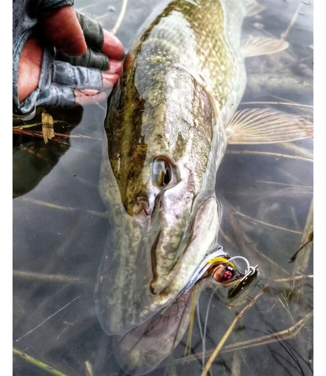 Sakura Chatterbait Cajun Bladed Jig 14g