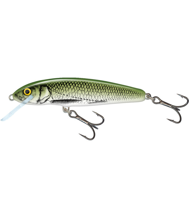 Salmo Floating Minnow 5cm 3g (diepte 0.5-1.0m)