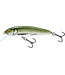 Salmo Floating Minnow 5cm 3g (diepte 0.5-1.0m)