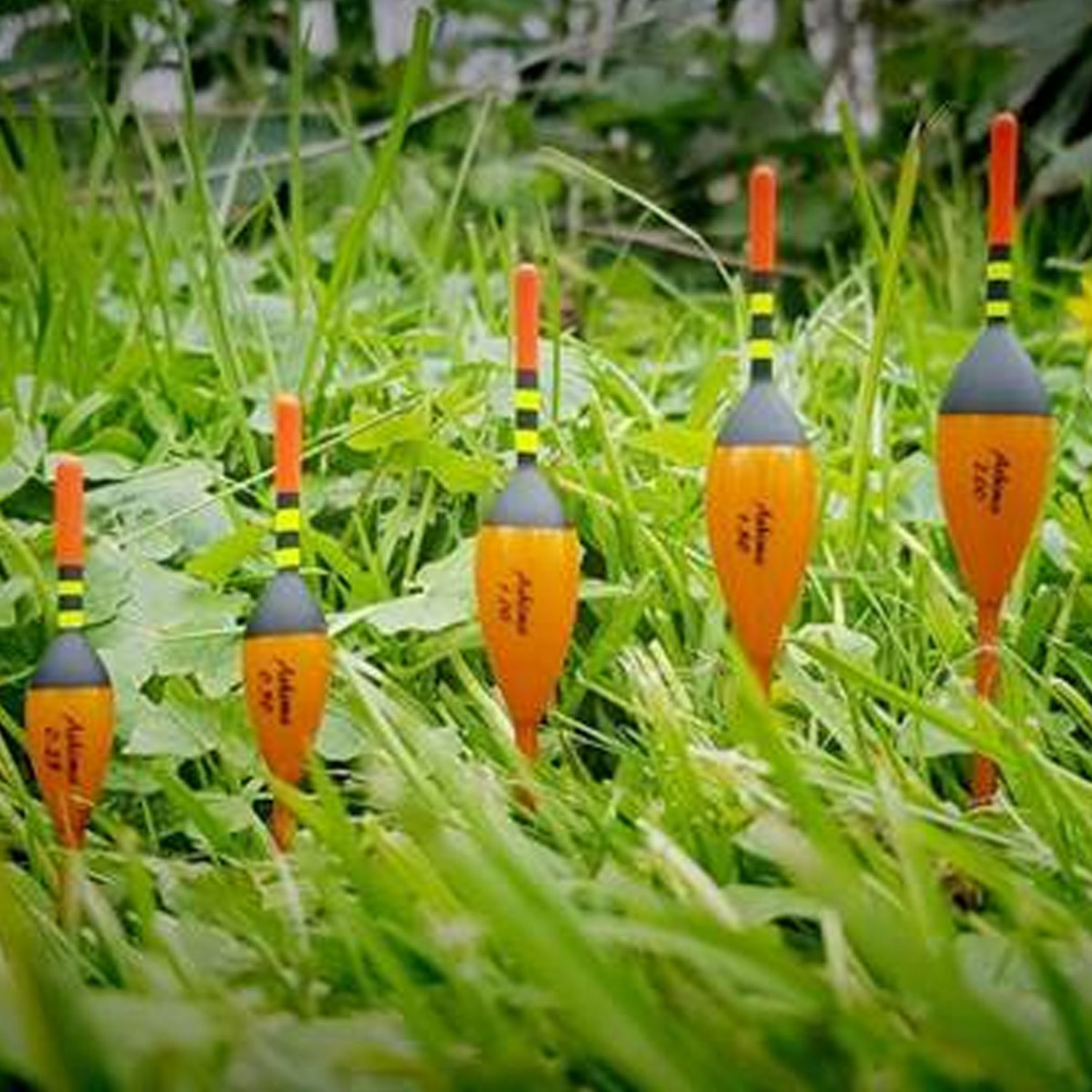 Ashima Carp Float Set (2 pcs) Reniers Fishing