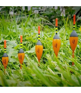 Ashima Carp Float Set (2 pcs) 0.5gr