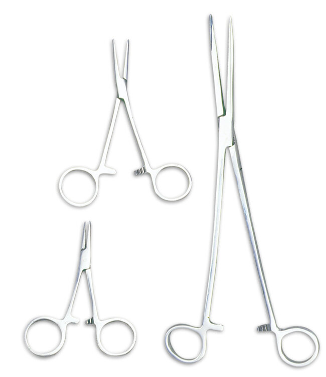 Reniers Fishing Forcep Straight