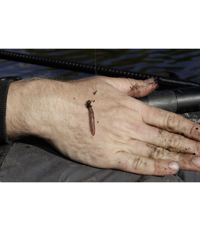 Browning Sphere Ultra Forte Pallette - Ardillon (15pcs)