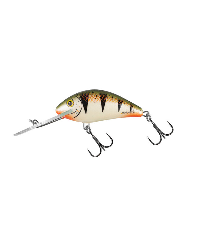 Salmo Hornet Flottant 6cm - 10g (profondeur 2-5.6m)