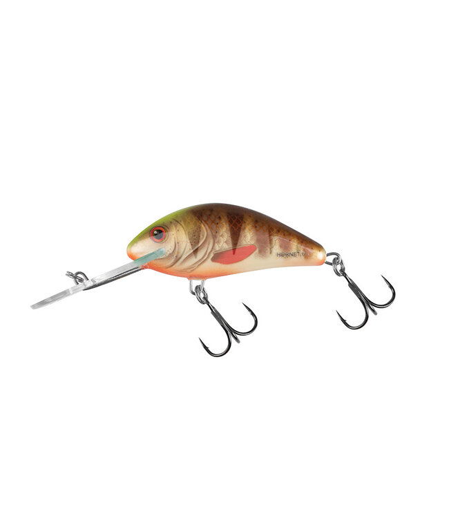 Salmo Hornet Flottant 6cm - 10g (profondeur 2-5.6m)