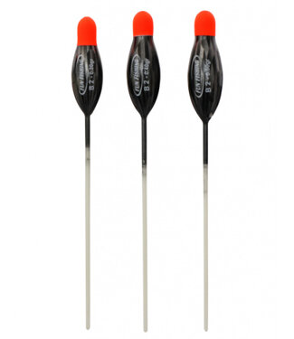 Fun Fishing Dobber B2