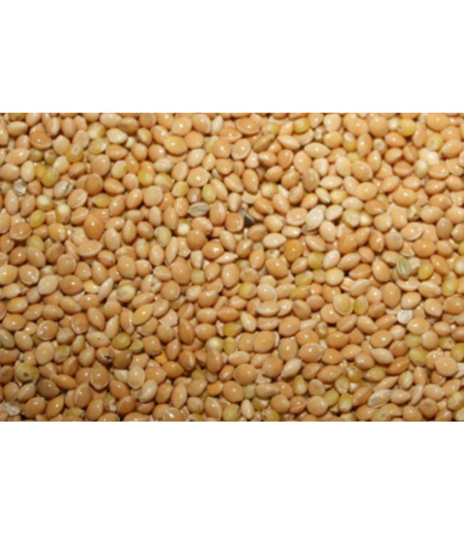 Reniers Fishing Gele Millet 1 Kilo