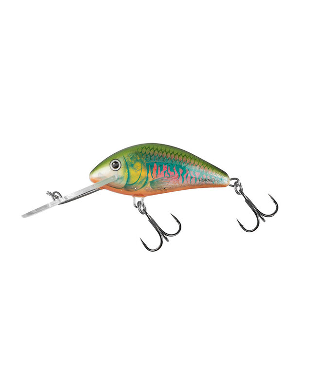 Salmo Floating Hornet 6cm - 10g (Tiefe 2-5.6m)