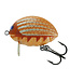 Salmo Lil'Bug Flottant (profondeur surface) 3cm - 4.3g