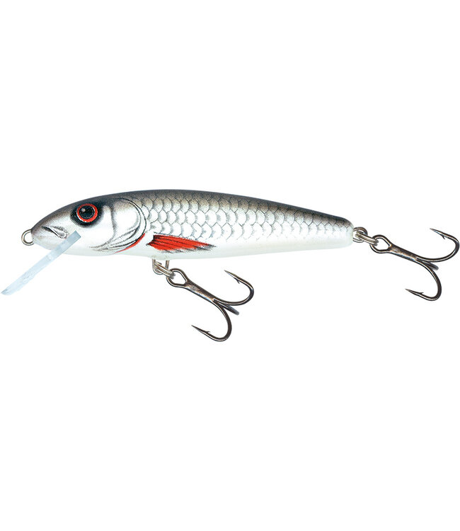 Salmo Minnow Coulant 6cm - 6g (profondeur: 1-1.5m)